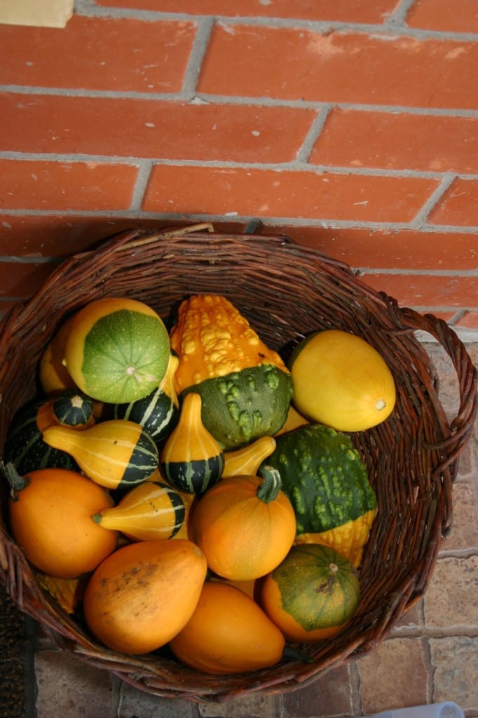 basket of gourds