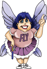 Visit FlyLady.net to create a great system for yourself!