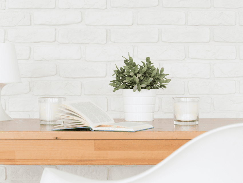 Pamela-Sandall-Design_Los-Angeles-California_How-to-Inspire-Feelings-of-Joy-and-Happiness-at-Home_Small-Potted-Plant-on-Counter-with-White-Brick-Backsplash